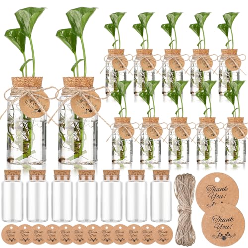 Baderke 24 Pack 3.54'' Plastic Plant Propagation Stations with Hole Lid 4oz Planter Vase Clear Propagation Jars with Thank You Tags for Plant Lover Gifts for Women Office Home Garden(24 Pack) - style: Cute