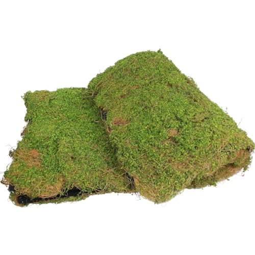 FAICOIA Artificial Moss for Decorating 39" x 39" Fake Moss for Crafts Faux Moss for Plants Indoor Green Faux Grass for Planters Crafts DIY Table Centerpieces Fairy Garden Floral Wedding 100 x 100cm - color: Green 1