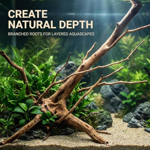 Tustao Aquarium Driftwood Branches Natural Wood Reptiles Trunk Wood Fish Tank Decoration Plant Stump Ornament Landscaping, Fish Tank Decoration, 8-10cm