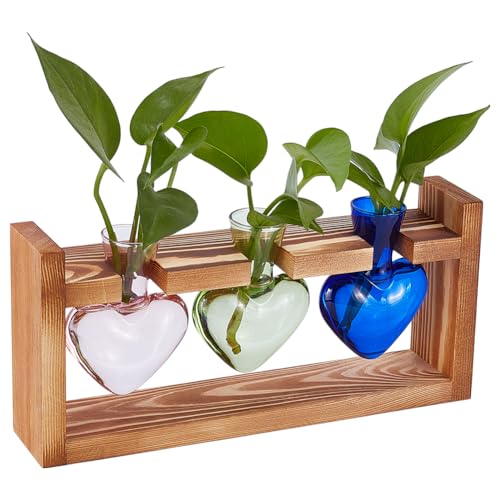UNICRAFTALE Hydroponics Plant Propagation Stations Plant Terrarium with Wooden Stand Air Plants Bulb Heart Glass Vase for Hydroponics Home Garden Office Decoration Unique Gardening Gifts 11"x3.03"