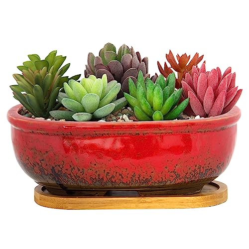 ARTKETTY Succulent Pots - Large Succulent Planters with Drainage Tray - color: Red