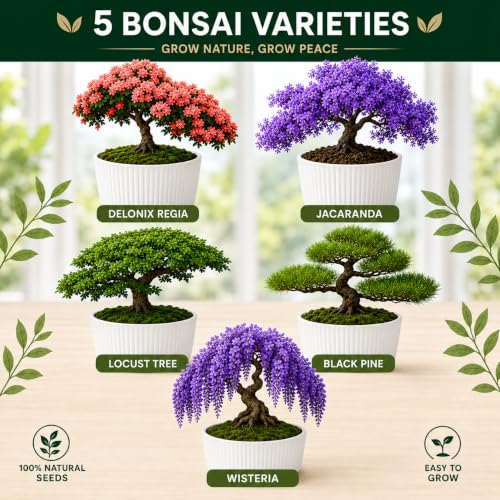 Bonsai Tree Starter Kit for Beginners – Complete Indoor Growing Kit with 5 Unique Japanese Bonsai Tree Seeds Pots & Gardening Tools DIY Gift for Adults
