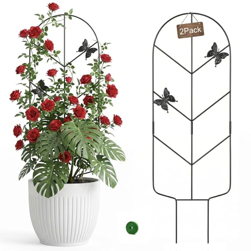 2 Pack 30'' Metal Plant Trellis for Climbing Plants Indoor Outdoor | Thickened Rust-Proof Plant Support 15-30 Inch Garden Trellis Potted Plants for Pothos Flowers Vine Ivy Monstera with Ties