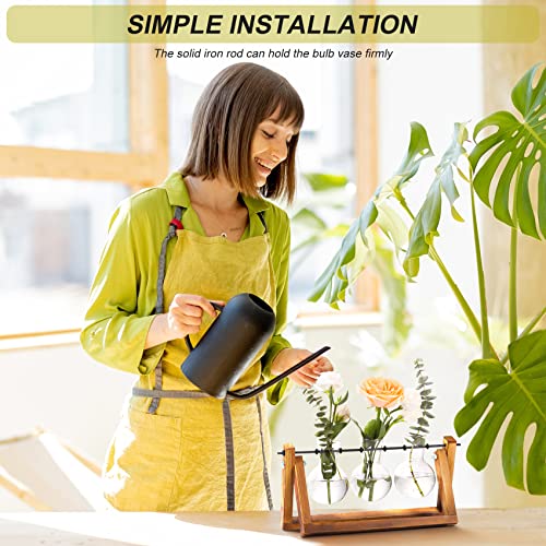 XXXFLOWER Plant Terrarium Propagation Station with Wooden Stand, Air Planter Glass Vase Home Indoor Office Decoration - 3 Bulb Vase + Test Tubes 3 Tiers