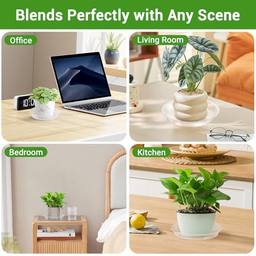GREANER 30 Packs Clear Plant Saucers, 5 Inch Plastic Trays for Plants, Heavy Duty Drip Trays for Potted Plants, No Holes Pot Trays for Indoor Outdoor Plants - size: 5 Inch