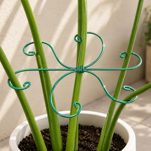 Yohsnor Green Monstera Plant Stem Support Set-7.5in Indoor Plant Stabilizer - color: Green, size: 7.5IN*7.5IN