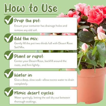 Soil Sunrise Desert Rose Potting Soil Mix (8 Quarts) Hand Blended Small Batch Soil Blend for Desert Rose Plant