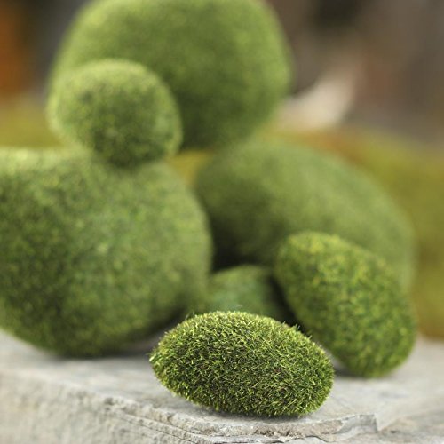 Faux Moss Rocks for Home Decor, Fairy Gardens, Crafts, and Displays - Pack of 11 Mossy Forest Green Fake Stones (Size: 1-1/4" to 2-1/2")