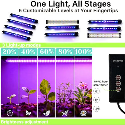 72-Cell Seed Starter Kit with Grow Light, Auto Timer & Humidity Dome | 5 brightness levels, 3/9/12H auto timer, 6 modular trays create ideal conditions for herbs, vegetables and flower seedlings