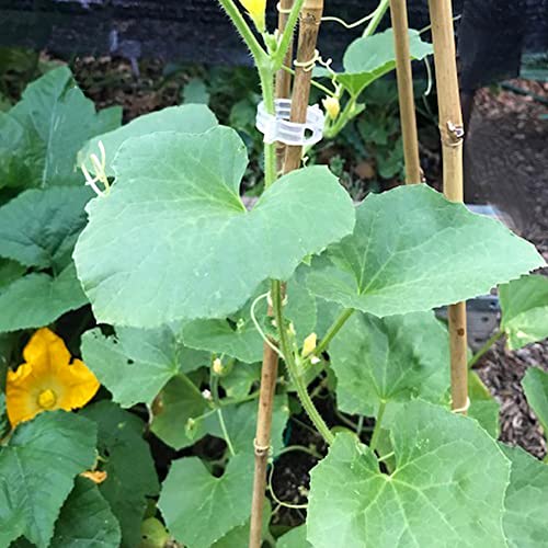 Yowlieu 20 Pcs Natural Bamboo Stakes + 1 Roll Garden Ties, 18 Inches Bamboo Sticks Gardening Plant Support Stakes for Indoor Plants, Tomato, Potted Plants - size: 20 Pcs Stakes + 1 Roll Plant Ties