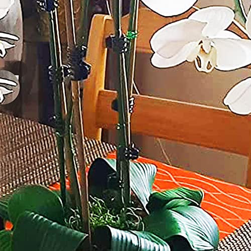 Yowlieu 20 Pcs Natural Bamboo Stakes + 1 Roll Garden Ties, 18 Inches Bamboo Sticks Gardening Plant Support Stakes for Indoor Plants, Tomato, Potted Plants - size: 20 Pcs Stakes + 1 Roll Plant Ties