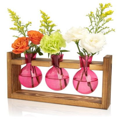 XXXFLOWER Wall Hanging Propagation Station with Wooden Stand Glass Test Tubes+3 Bulb Glass Propagation Station