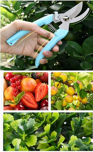 2pcs Garden Flower Shears Pruning Shears 6.9 inches Scissors Heavy Duty Plant Scissors for Cutting Flowers, Trimming Plants, Bonsai, Fruits Picking (Blue Handle 2pcs) - style: Blue Handle 2pcs
