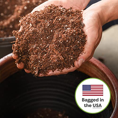 Perfect Plants Snake Plant Soil, 4 qt, Coco Coir Potting Mix - size: 4qt.