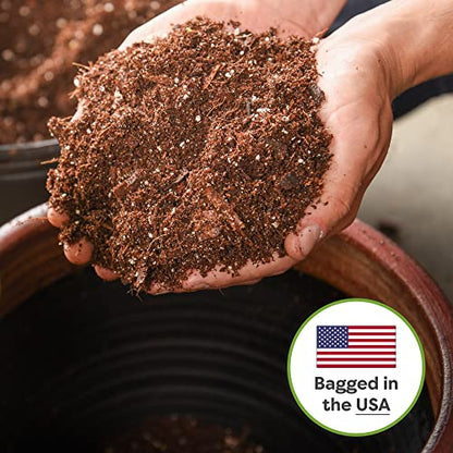 Perfect Plants Snake Plant Soil, 4 qt, Coco Coir Potting Mix - size: 4qt.