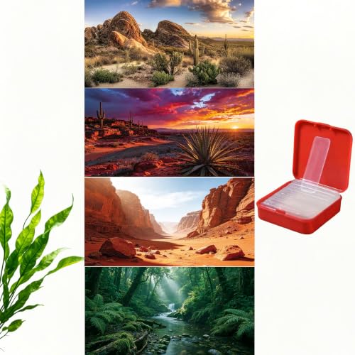 4Pcs Reptile Tank Background, 36x18 Inch Double Sided Fish Tank Background - size: 36 × 18 in