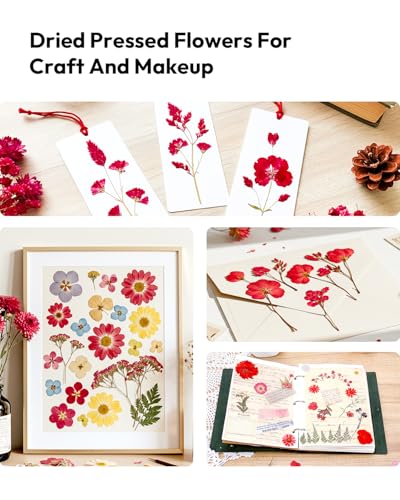 Dried Flowers, Resiners 174Pcs Pressed Flowers for Craft Red Real Natural Dried Flowers Dry Leaves Kit for DIY Making Crafts Resin Soap Candle Scrapbook Supplies Card Making Jewelry - color: Cherry 174pcs