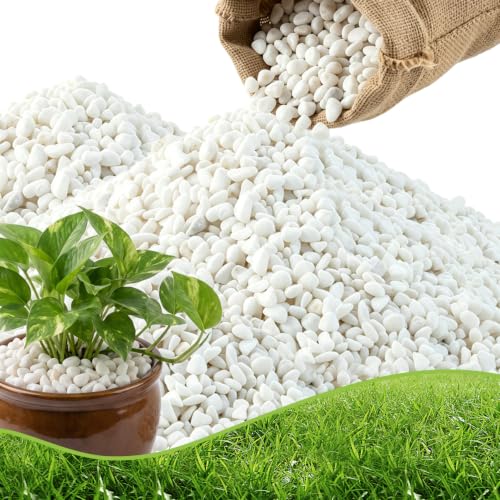 CJGQ 1/4" Small White Rocks for Plants,Potting,Succulents Aquarium Fish Tank Garden Vases Decorative Pebbles Gravel Rocks Stones 45lb - color: white, size: 45 lb (1/4 in)