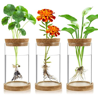 Plant Propagation Stations 3 Pack Plant Terrarium, Propagation Jars Glass Hydroponic Vases for Indoor Plants, Desktop Glass Plant Pot with Lid & Wooden Stand Gardening Gifts for Women Mom Plant Lovers