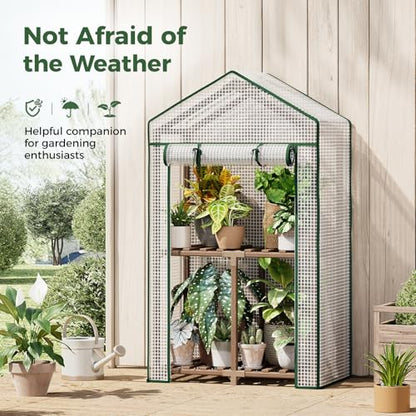 Bamworld Mini Greenhouse Indoor Small Portable 2-Tier Green House for Seed Starting Plant Grow Warmer and Home Gardening Display - size: Small