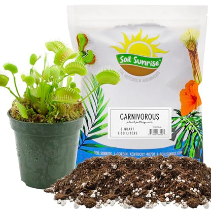 Soil Sunrise Carnivorous Plant Potting Soil Mix (2 Quarts) Ideal Additive for Venus Fly Traps, Sundews, and Pitcher Plants - size: 2 Quarts