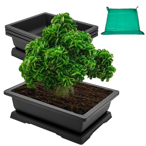 GROWNEER Large Bonsai Pots 3 Pack 14 Inch with Drainage Trays Training Pot - size: 3pcs/14x10.3in