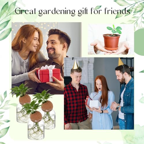 3 Pcs 3.94 Inches Glass Plant Propagation Stations with Spherical Lid Glass Jars Plant Propagation Vases Hydroponic Spherical Cork Planter for Indoor Home Office Desktop Decor(Cylinder) - size: 3.94 Inches, style: Cylinder