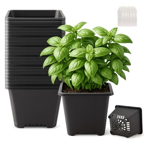 25 Packs Square Nursery Pots for Plants 6.1 Inch Seedling Pots with Holes | Lightweight plastic construction; assorted sizes for propagation and transplanting; stackable profile for compact storage - size: 6.1 Inch