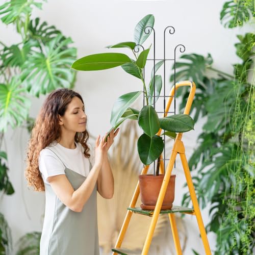 Coomin 32.6in Monstera Plant Support, Plant Trellis Indoor 2P | Garden Trellis for Climbing Plants, Metal Trellis for Potted Plants Pothos Plant Climber Support - size: 32.6in/2p