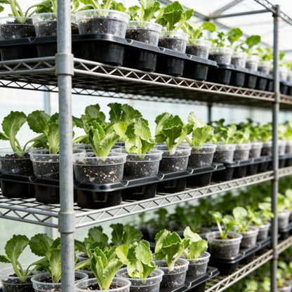 homenote 2 Pack 12 Cell Seed Starter Trays with 24 Clear 4 Inch Plant Pots | Reinforced trays securely hold clear pots with multi-hole drainage for easy root monitoring and healthier seedling growth. - size: 4 Inch, style: 2 Pack Seed Starter Tray+Nursery