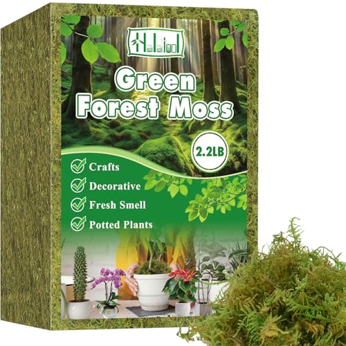 Halatool 2.2LB Green Moss for Indroor Plants, 8QT Orchid Moss for Repotting - size: 35.2 oz