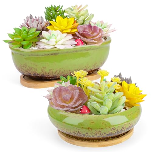 Succulent Pots, 1 Rectangle Planter + 1 Ceramic Bonsai Pots with Drain Tray | 2 Pack Large Shallow Planters for Indoor Plants, Round Cactus Flower Plant Pot for Desk Windowsill Decor - color: Green