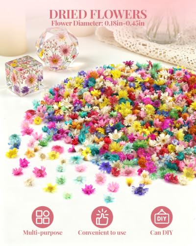560 PCS Mini Dried Flowers for Resin, Small Dried Flowers for Crafts, Mini Dried Flowers for Resin, Dried Flowers for Resin Art, Jewelry, Earrings, Epoxy Molds, Candle, Soap and DIY