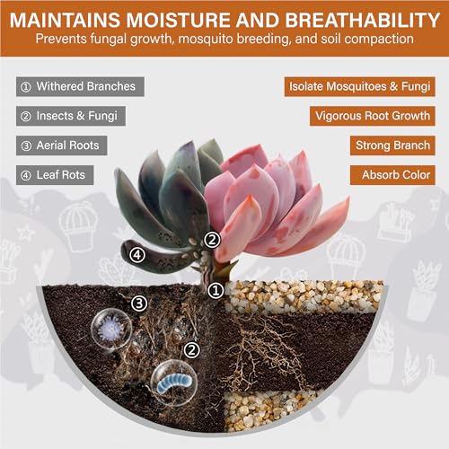 NUPICK 1-3mm Coarse Sand for Plants, 10lb Aquarium Sand for Terrarium - size: 10 lb