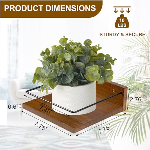 ARTORA Wall Mounted Plant Holder, Wooden Floating Shelves for Flower Pot Wall Hanging Wood Rack Farmhouse Small Decorative Wall Shelf for Bedroom Living Room Bathroom Porch Balcony Decor (2 Pack)