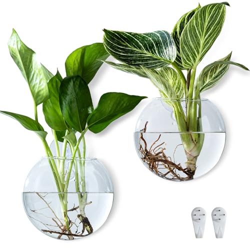 Wall Hanging Planter Propagation Station, Oblate Glass Flower Vase for Propagation, Wall Planter for Indoor Plants, Modern Home Office Corridor Bathroom Decor (2)