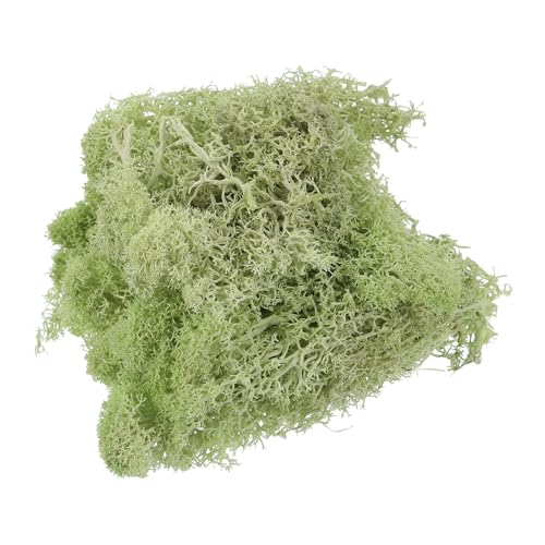 0.35 OZ Moss Fake Craft Moss Artificial Moss Natural Preserved Moss for Craft Arts Floral DIY Project Wall Wedding Garden Patio Table Terrariums Decoration(Chartreuse) - color: Chartreuse