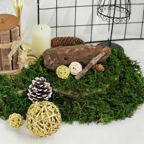 Efavormart 50g Bag Preserved Green Reindeer Moss, Soft Natural Decorative Moss for Terrariums, Fairy Gardens and Potted Plant Soil Cover