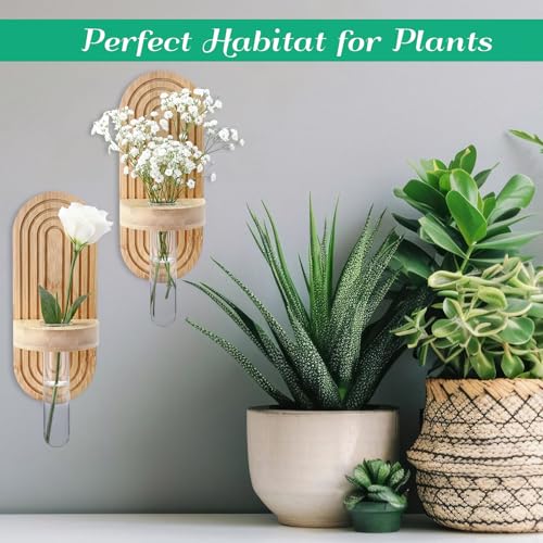 Beeveer 4 Sets Hanging Plant Propagation Stations Bamboo Wood Wall Mounted Test Tube Vase Rustic Decorative Glass Planter Holder Gift for Women Plant Lover Hydroponic Flowers Home and Office Decor
