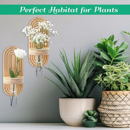 Beeveer 4 Sets Hanging Plant Propagation Stations Bamboo Wood Wall Mounted Test Tube Vase Rustic Decorative Glass Planter Holder Gift for Women Plant Lover Hydroponic Flowers Home and Office Decor