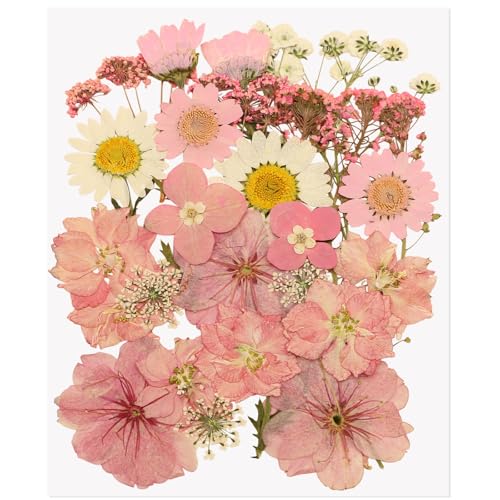 Dried Pressed Flowers for Crafts, Real Dried Flowers Natural Dry Flowers Bulk for Resin Candle Making Scrapbooking DIY Nails Jewelry Pendant Soap (Pink)