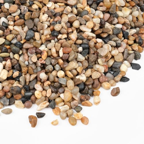 5 lbs Small Rocks for Plants, 1/5 Inch Gravel for Plants Drainage | Decorative Potting Pebbles for Indoor Plants, Vases, Bamboo, Succulent, Terrarium, Crafts, Cactus - color: Colored 1/5 Inch