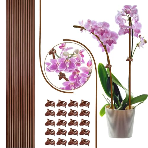 Plant Stakes with Clips 22Pcs Bendable Support for Orchid, Monstera, Pothos - color: brown