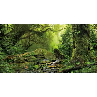 Forest Green Tree Terrarium Backdrop Reptile Habitat Background 48x20 in - size: 48 x 20 inches