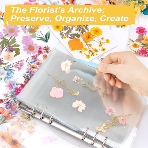 Alvian A4 Dried Flower Pressing Scrapbook Kit - 50pcs Floral Stickers & Transparent Pages for Pressed Flower Storage, Organizing, Resin Art & Scrapbooking - Ideal Gift for Gardeners, Plant Lovers