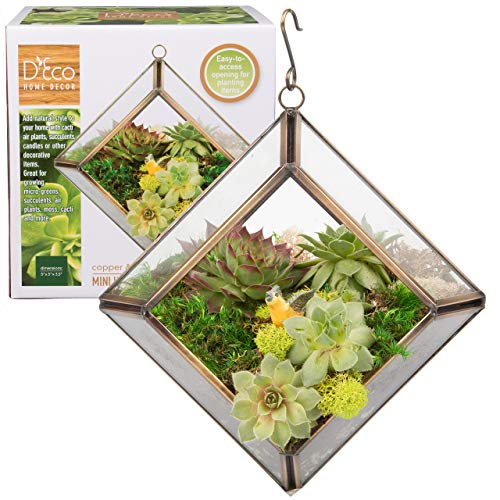 D'Eco Glass Copper Mini Diamond Tabletop or Hanging Planter Terrarium