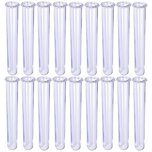 18Pcs Clear Test Tubes for Plant Propagation Station Hydroponic/Flowers for Hydroponic Plants Home Office wall Decor (12cm)
