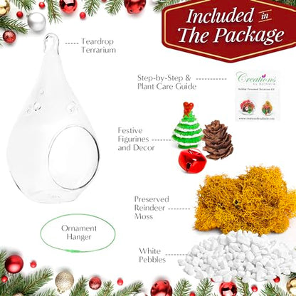 Creations by Nathalie Holiday Glass Terrarium Kit with Live Plant 5" Inch | DIY glass terrarium kit with live plant and moss, including supplies to create an indoor terrarium display for home décor. - size: 5" Glass Teardrop