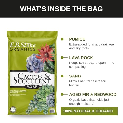 E.B. Stone Organics Cactus & Succulent Mix