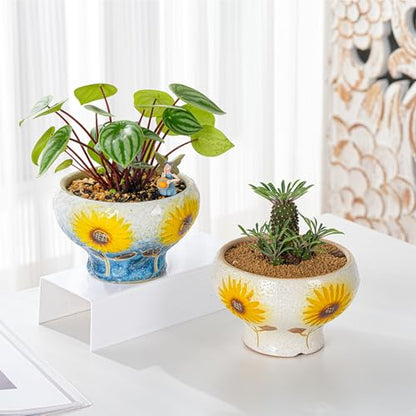 Sungmor Small Succulent Planters Set of 2, Beautiful Hand Crafted Ceramic Plant Pots Cute Cactus Pot, 6.5 Inch Flower Pots for Indoor Plants with Drainage, Desktop Windowsill Home Office Decor Pots | Beautiful Hand Crafted Ceramic Plant Pots Cute Cactus P